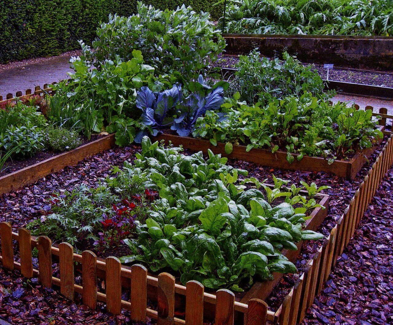 как вырастить овощи на маленьком участке